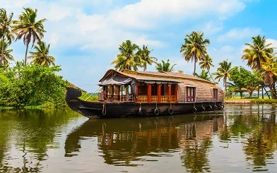 Kerala Food Trails: Local Experiences, Hidden Spots & Travel Tips 