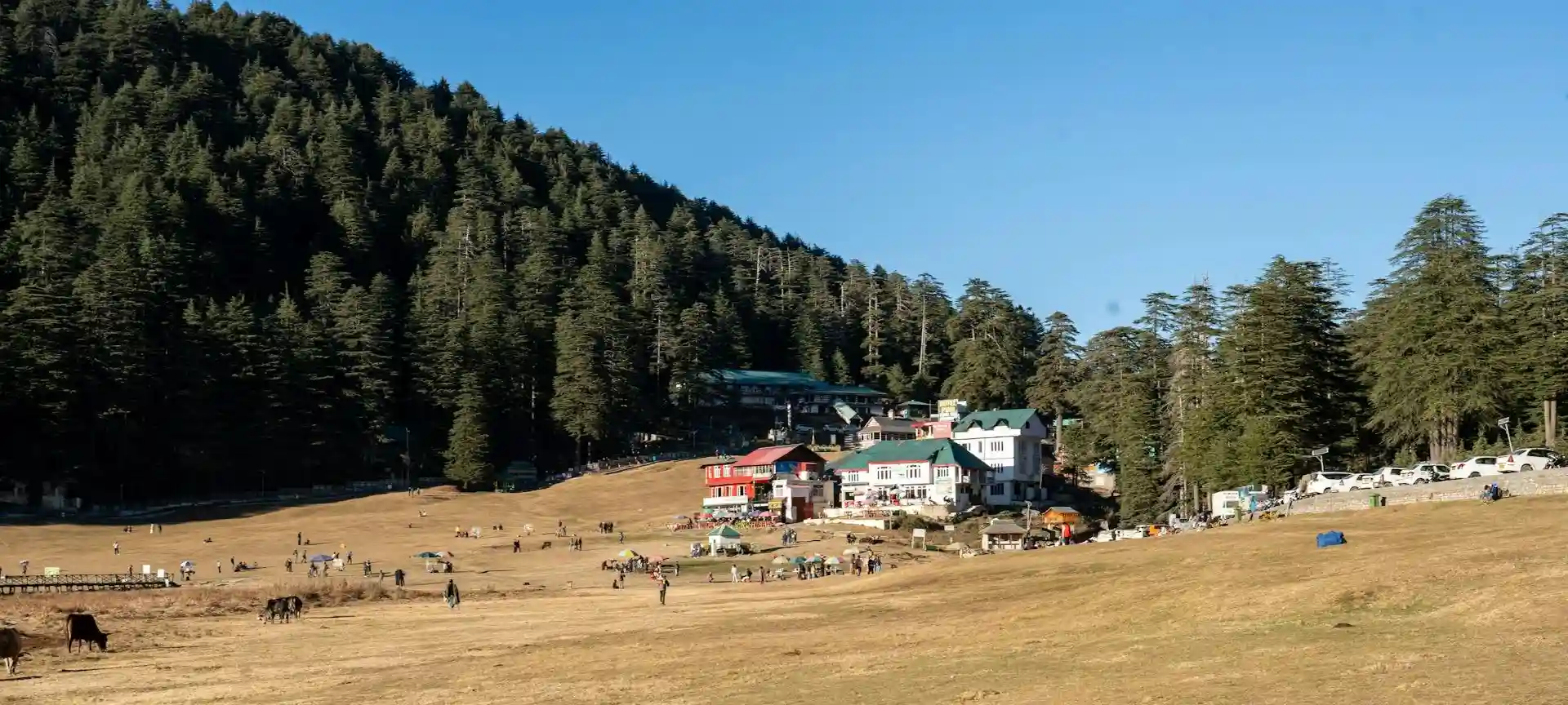 Top Hill Stations to Explore in Himachal Pradesh