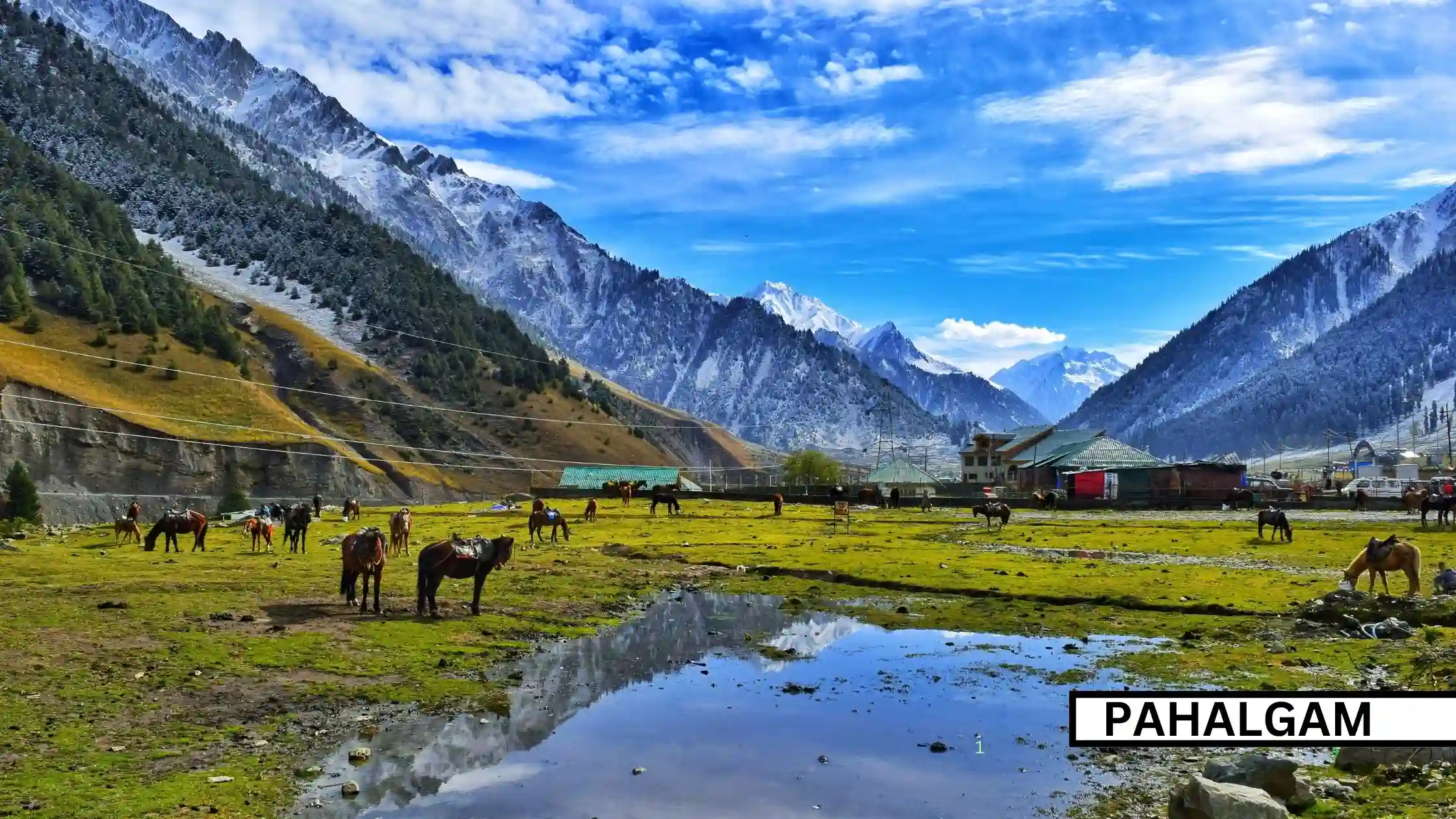 Kashmir Honeymoon Tour