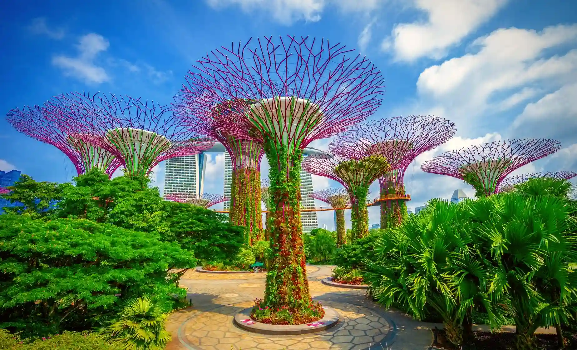 Cruise - Singapore Malaysia
