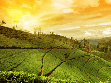 Assam Meghalaya (Deluxe) 2026
