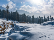 Kashmir Deluxe Summer